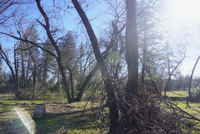 3695 Lily Ln, Shingle Springs, CA 95682