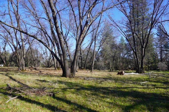 3695 Lily Ln, Shingle Springs, CA 95682