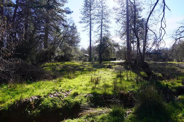 3695 Lily Ln, Shingle Springs, CA 95682