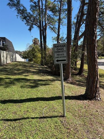 16100 HARBAR OAKS DRIVE, Montverde, FL 34756