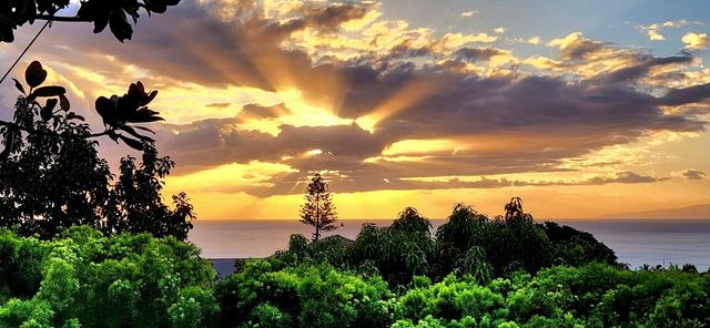 3220 Waileia Pl, Kihei, HI 96753