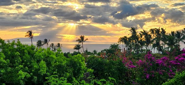 3220 Waileia Pl, Kihei, HI 96753