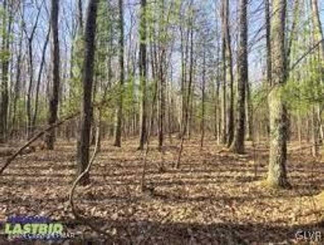 0 Navaho Path, Wayne, PA 18424