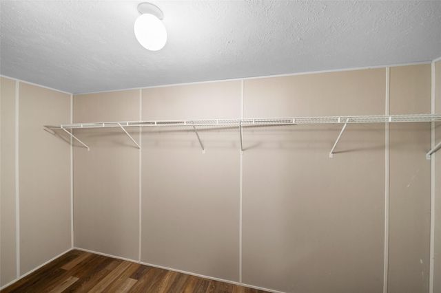 11332 Annie Creek Drive, Willis, TX 77378