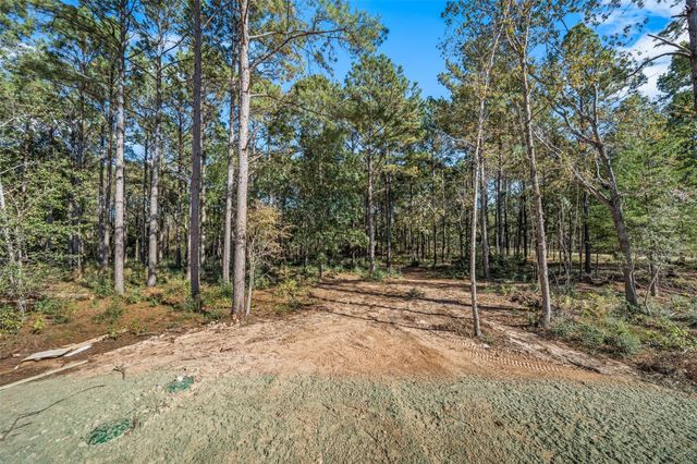 11332 Annie Creek Drive, Willis, TX 77378