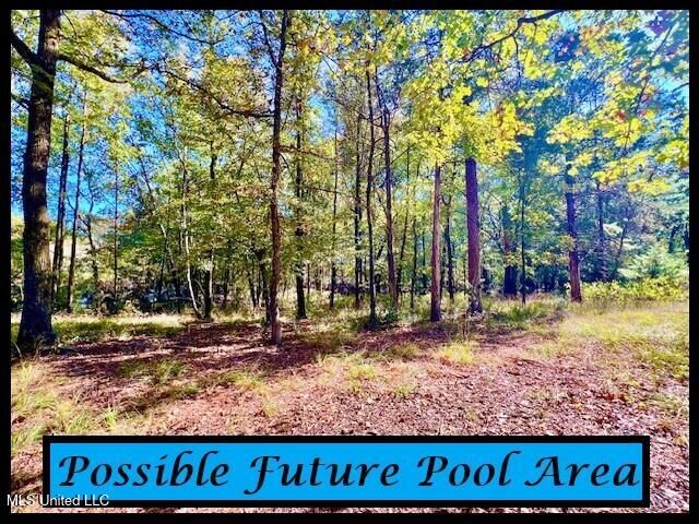 3709 Lyles Drive, Oxford, MS 38655