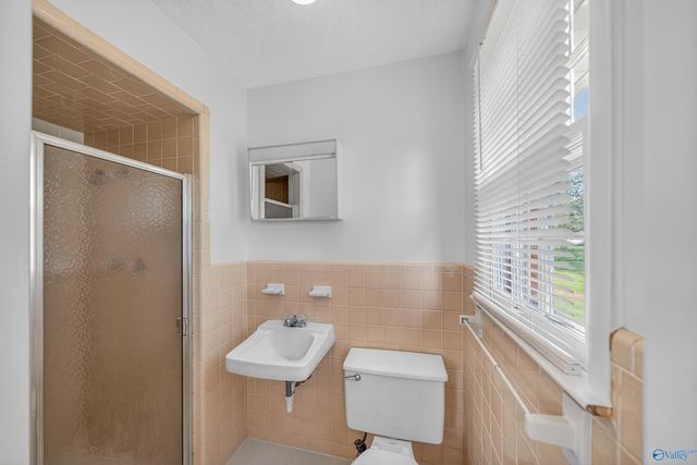 1101 Mint Springs Road, New Market, AL 35761