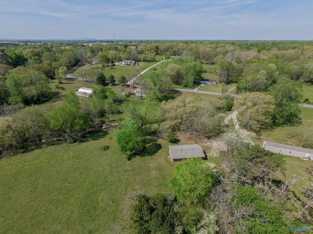 1101 Mint Springs Road, New Market, AL 35761