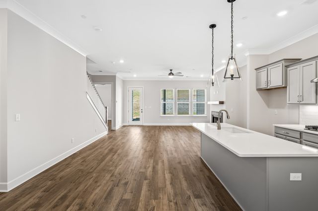 303 Buckwood Lane, N, Thompsons Station, TN 37179