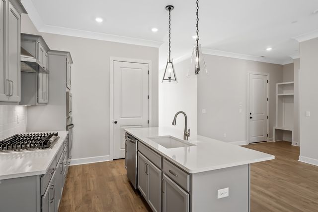 303 Buckwood Lane, N, Thompsons Station, TN 37179