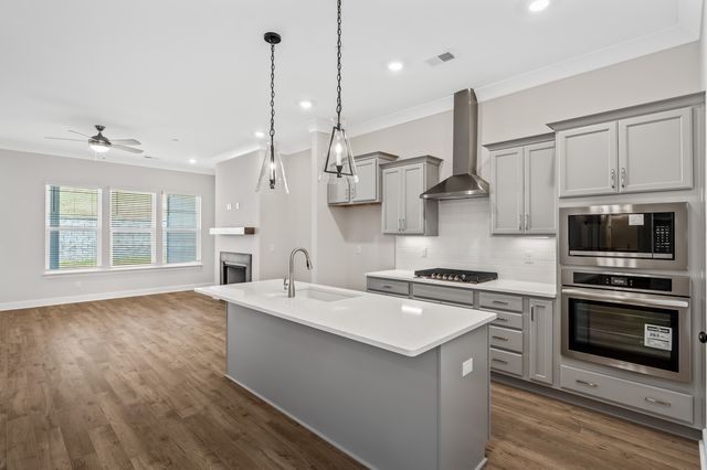 303 Buckwood Lane, N, Thompsons Station, TN 37179