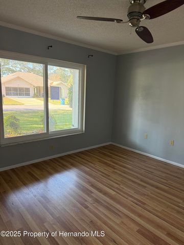 6408 Pine Meadows Drive, Spring Hill, FL 34606