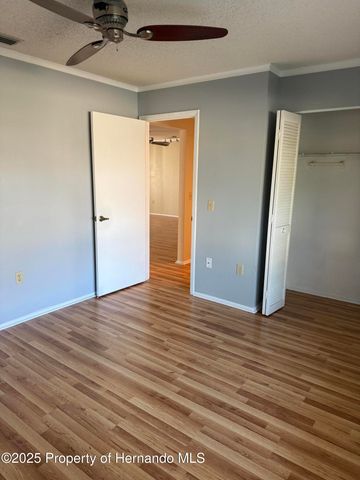 6408 Pine Meadows Drive, Spring Hill, FL 34606