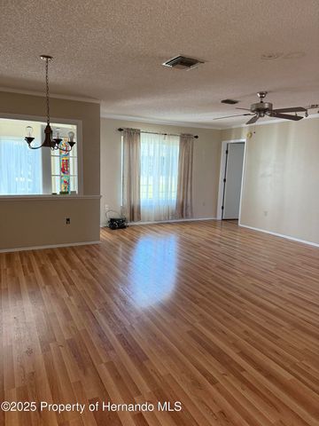 6408 Pine Meadows Drive, Spring Hill, FL 34606