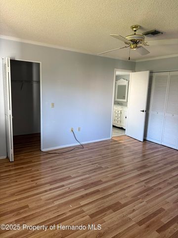 6408 Pine Meadows Drive, Spring Hill, FL 34606