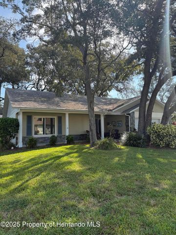 6408 Pine Meadows Drive, Spring Hill, FL 34606