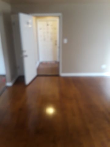 6927 S Prairie Avenue 1, Chicago, IL 60637
