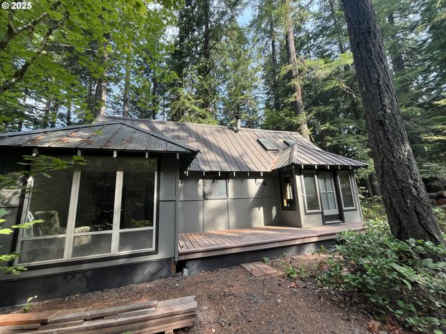Cabin 64 Northwoods, Cougar, WA 98616