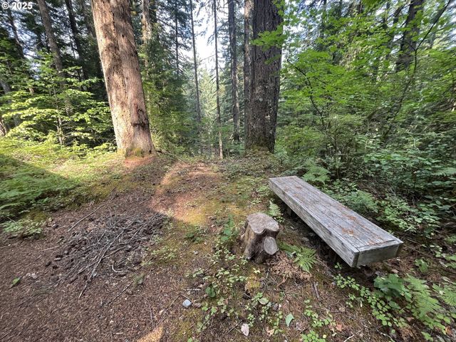 Cabin 64 Northwoods, Cougar, WA 98616