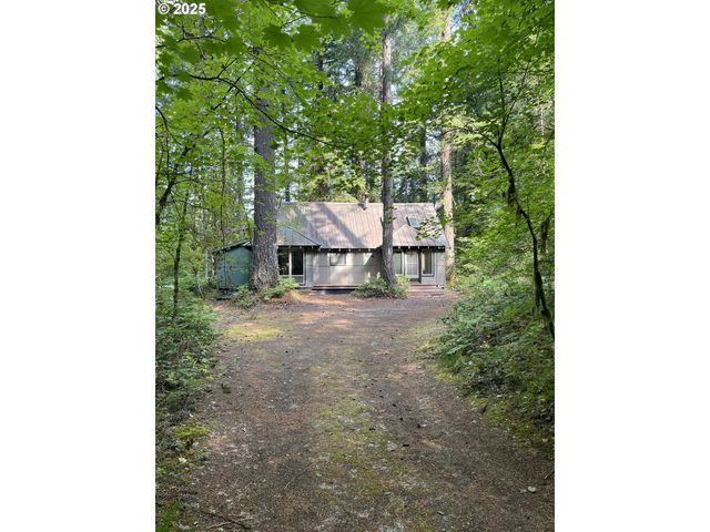 Cabin 64 Northwoods, Cougar, WA 98616