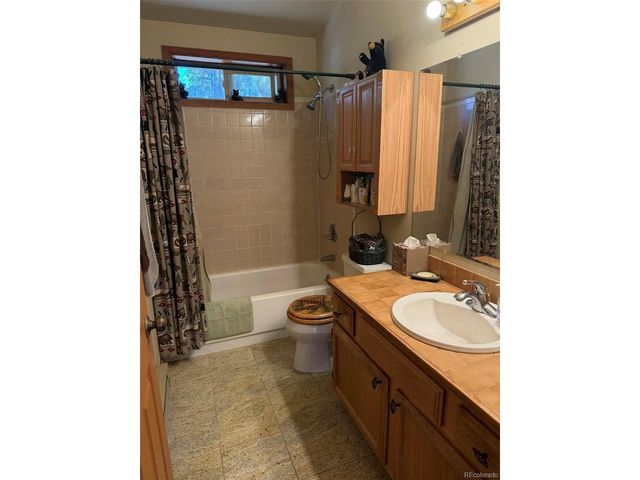 33623 Smith Rd, Pine, CO 80470