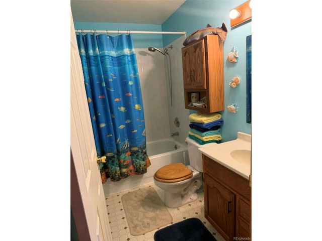 33623 Smith Rd, Pine, CO 80470