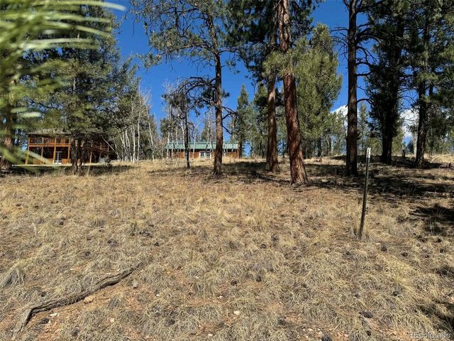 33623 Smith Rd, Pine, CO 80470