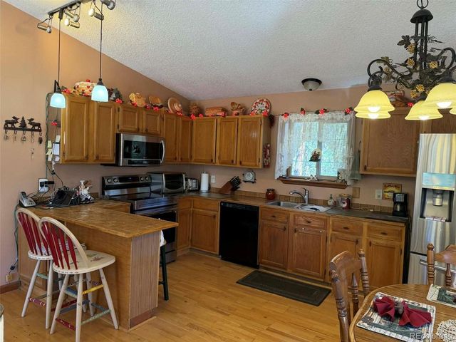 33623 Smith Rd, Pine, CO 80470