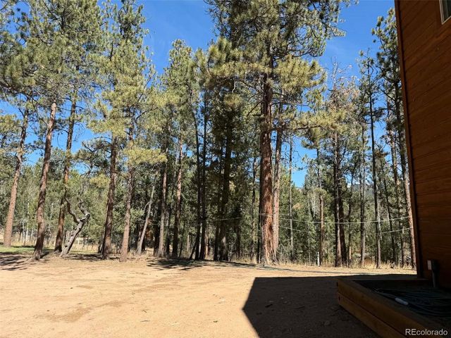 33623 Smith Rd, Pine, CO 80470