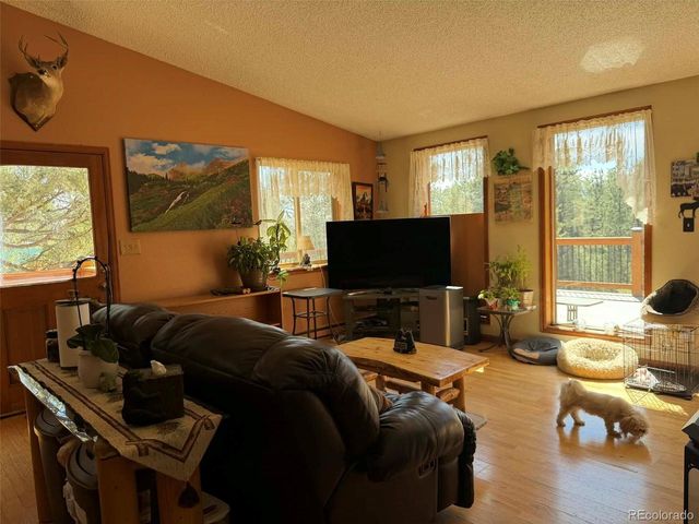 33623 Smith Rd, Pine, CO 80470