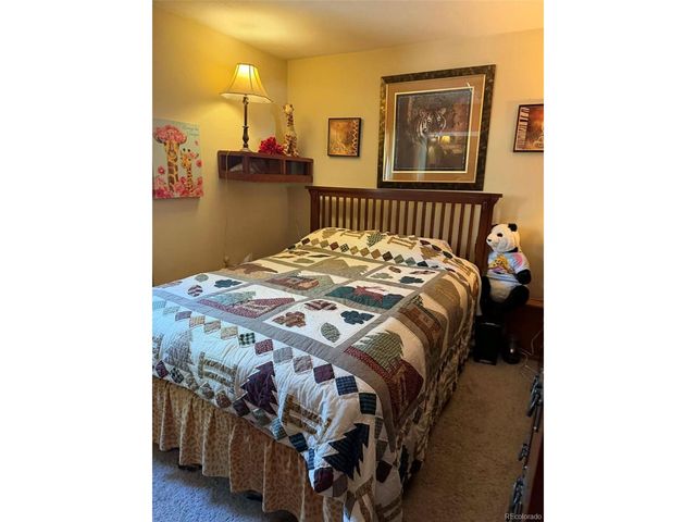 33623 Smith Rd, Pine, CO 80470