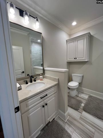 255 Osprey Pointe Lane, Prosperity, SC 29127