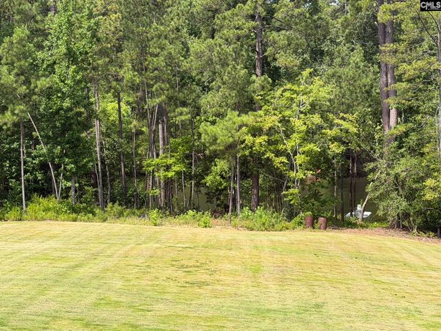 255 Osprey Pointe Lane, Prosperity, SC 29127