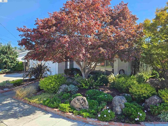 3305 3305 Arcadian Dr, Castro Valley, CA 94546