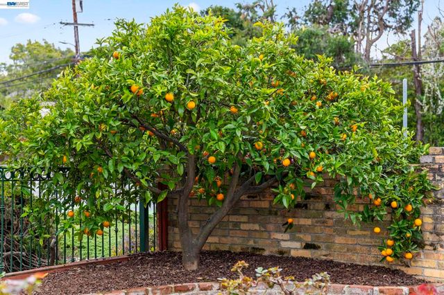 3305 3305 Arcadian Dr, Castro Valley, CA 94546