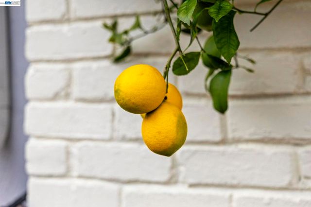 3305 3305 Arcadian Dr, Castro Valley, CA 94546