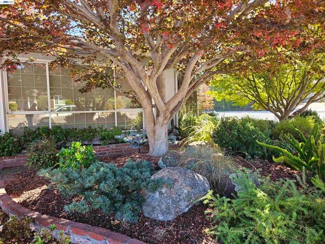 3305 3305 Arcadian Dr, Castro Valley, CA 94546