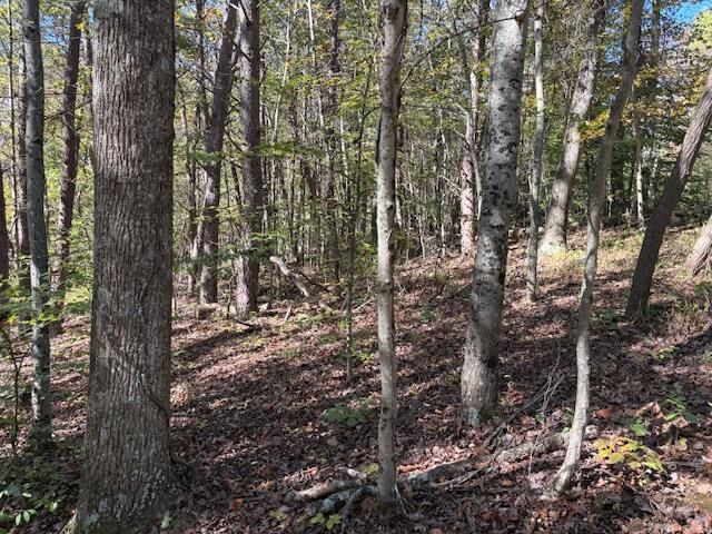 9847 Stage Road, Logan, OH 43138