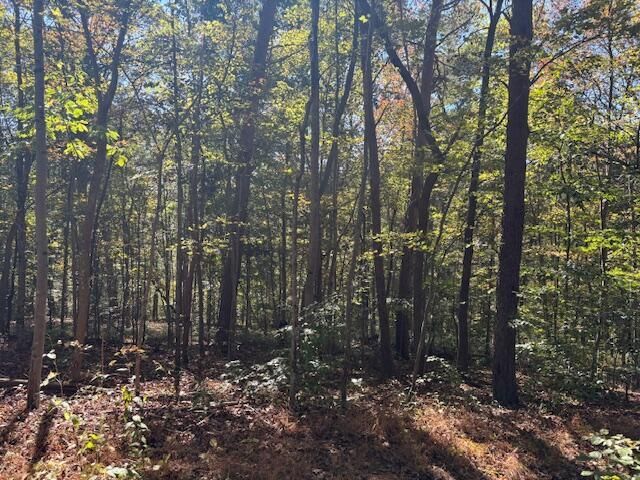 9847 Stage Road, Logan, OH 43138