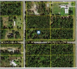 10570 Dillon Ave, Hastings, FL 32145