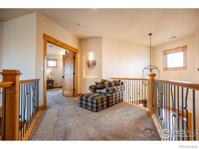 1933 Dominica Court, Windsor, CO 80550