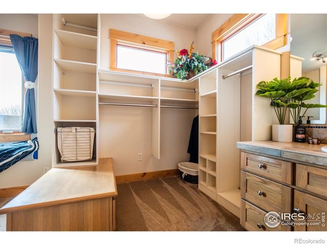 1933 Dominica Court, Windsor, CO 80550