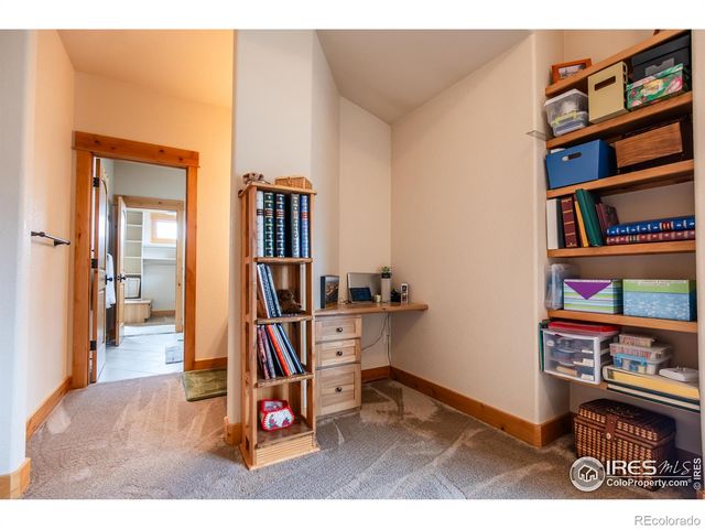 1933 Dominica Court, Windsor, CO 80550