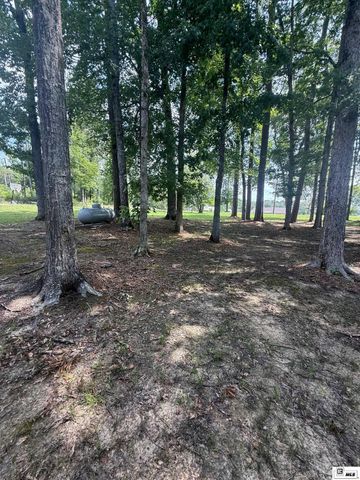 113 BETTY KAY ROAD, Chatham, LA 71226