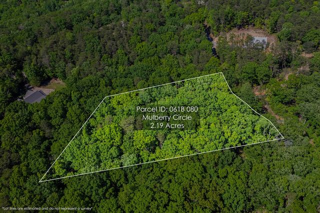 0 Mulberry Circle, Jasper, GA 30143
