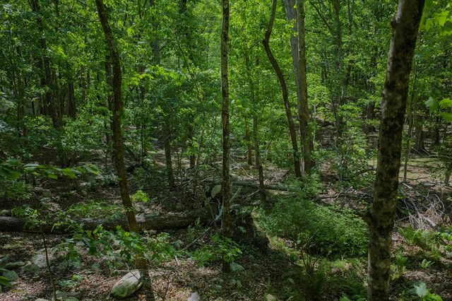 0 Mulberry Circle, Jasper, GA 30143
