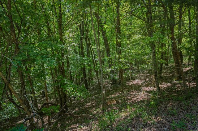 0 Mulberry Circle, Jasper, GA 30143