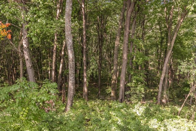 00 JOE COULEE ROAD, Blair, WI 54616