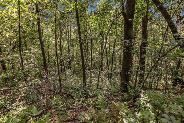 00 JOE COULEE ROAD, Blair, WI 54616