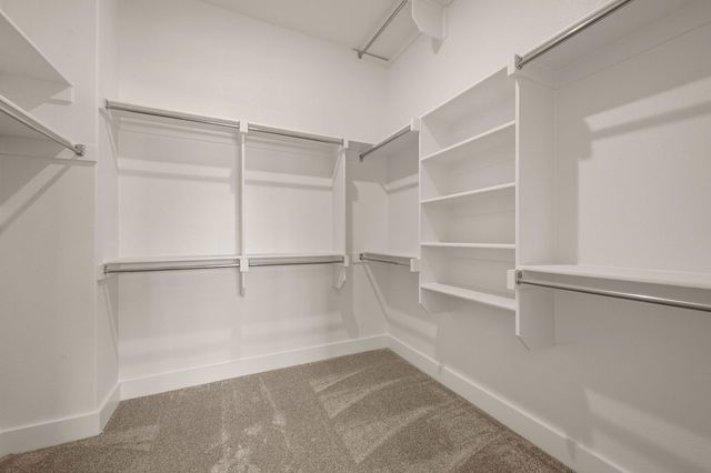 3853 Willow Bough Lane, Celina, TX 75078